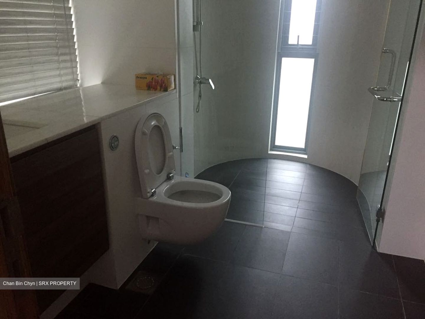 Double Bay Residences (D18), Condominium #331677401